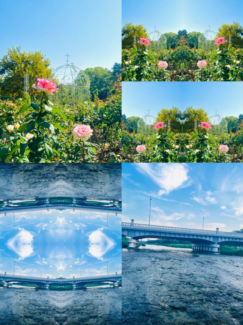 ピンクの薔薇と装飾的ガゼボ、川に架かる橋と雲が映り込む水面を組み合わせた対称的な写真アート。自然と都市景観が幻想的に調和している。