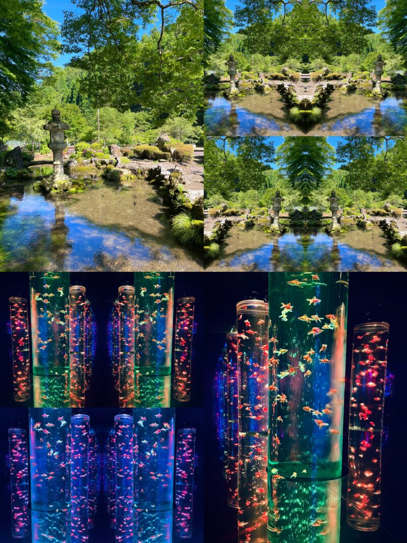 日本庭園の池と石灯籠、光に照らされた金魚展示を組み合わせた作品。自然と人工美が対称的に配置され、幻想的な空間を生み出している。