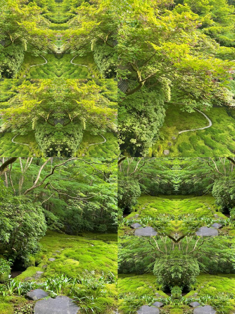 苔やシダが広がる庭園の風景を反転構図で4分割した写真作品。緑の濃淡と光の差し込みが模様を作り、自然の万華鏡のように広がっている。