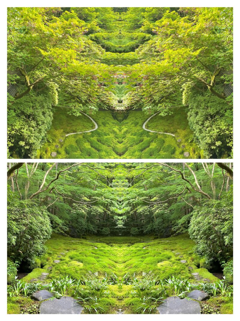 新緑の日本庭園を左右反転し、苔と小道が疑問符のような形を描く上段と、木々に囲まれた苔庭が奥行きのある対称構図を成す下段で構成された反転コラージュ作品