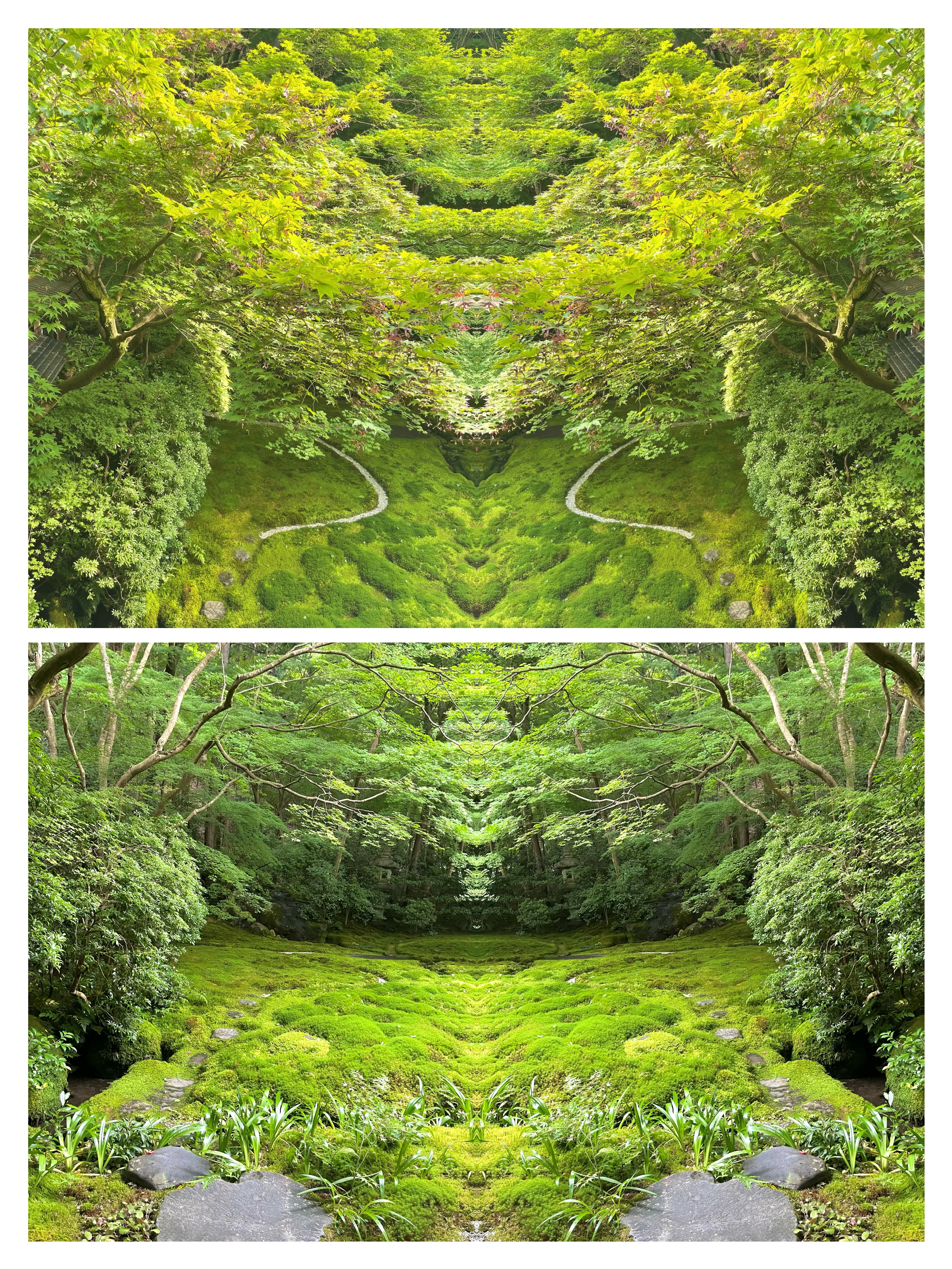 新緑の日本庭園を左右反転し、苔と小道が疑問符のような形を描く上段と、木々に囲まれた苔庭が奥行きのある対称構図を成す下段で構成された反転コラージュ作品