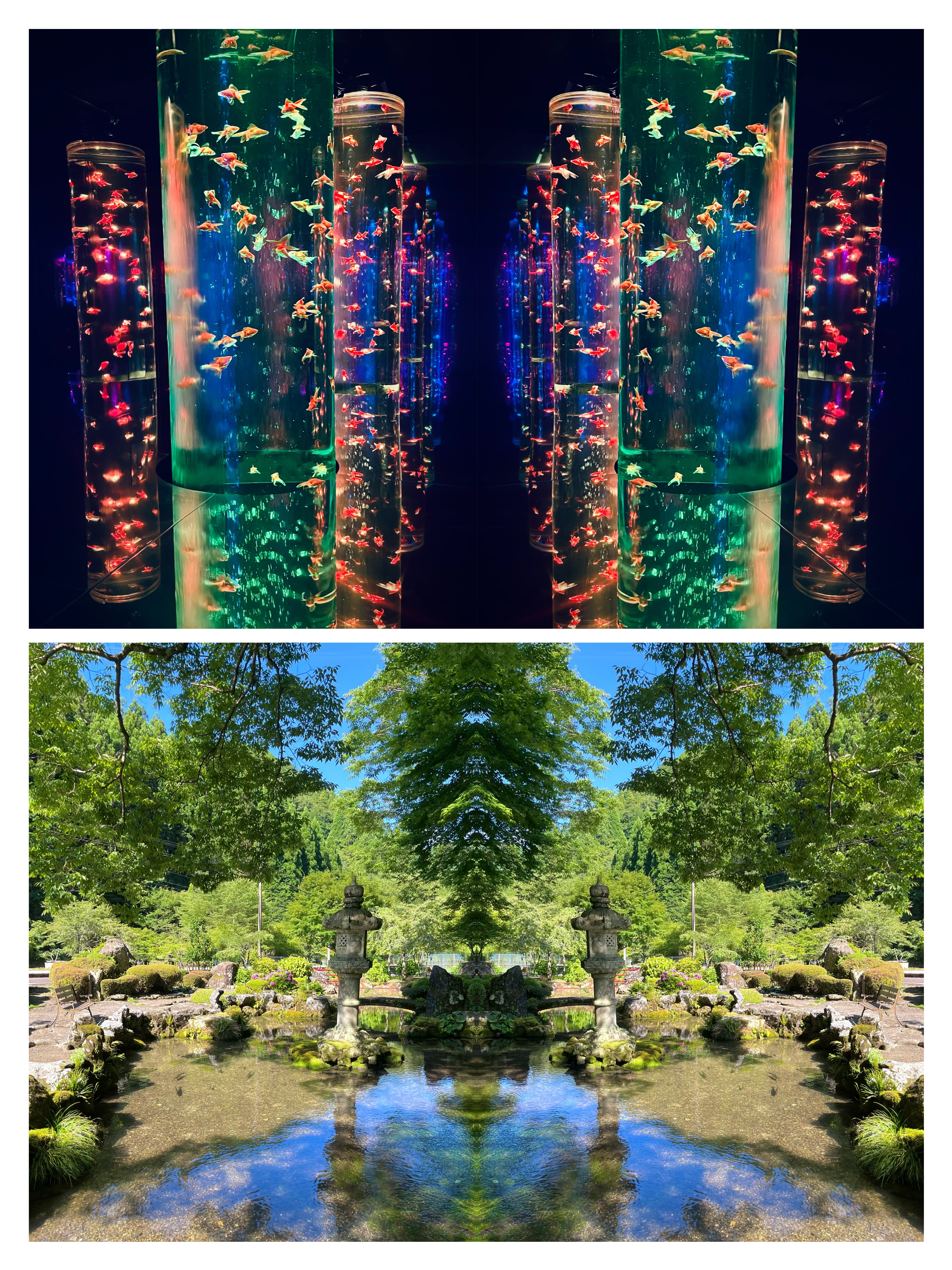 暖色のライトに照らされた円柱型水槽の金魚を対称に映した写真と、青空を映す日本庭園の池と石灯籠を左右反転した写真を上下に配置した反転コラージュ作品