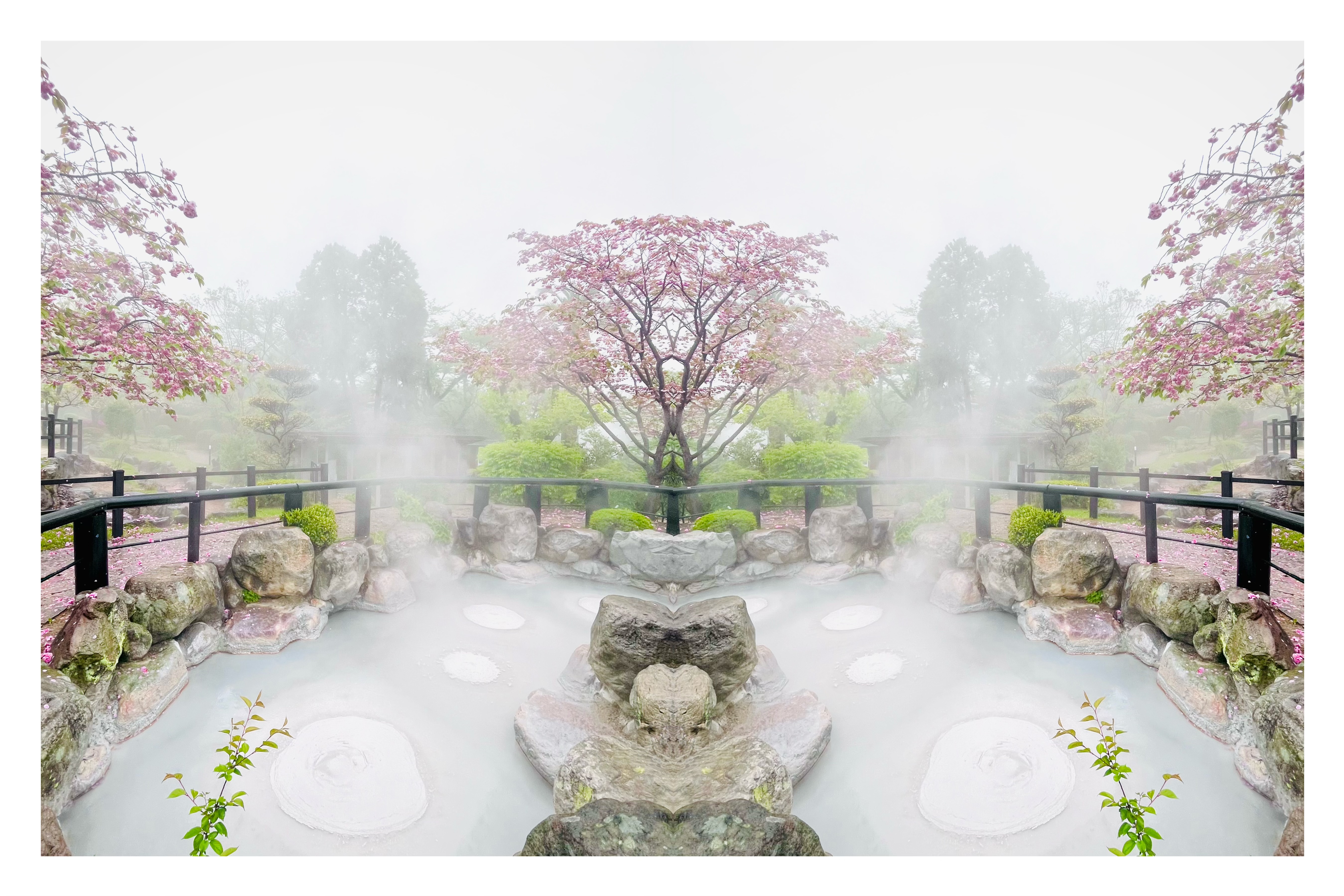 温泉の湯けむりと曇り空が境界なく溶け合う中、桜の木と岩場が左右反転で対称に浮かび上がる幻想的な反転写真作品
